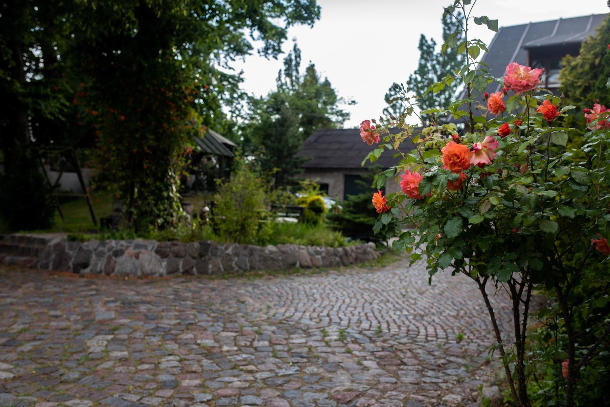 Mlynarzowy Dworek Gdynia Extérieur photo