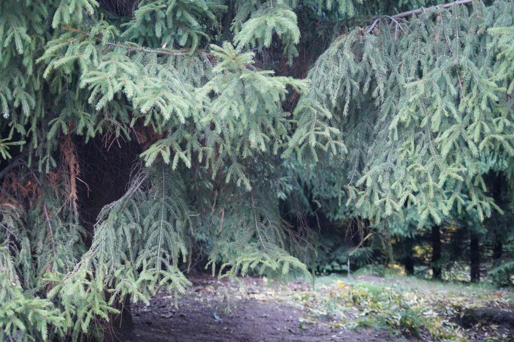 Mlynarzowy Dworek Gdynia Extérieur photo